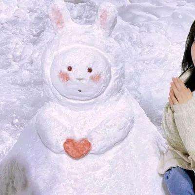 雪鹰领主传奇游戏下载