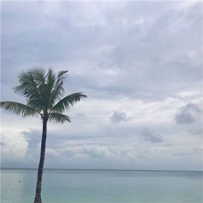 萌娘契约腾讯游戏下载